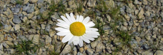 sichtmodus